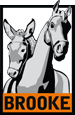 The Brooke Charity logo